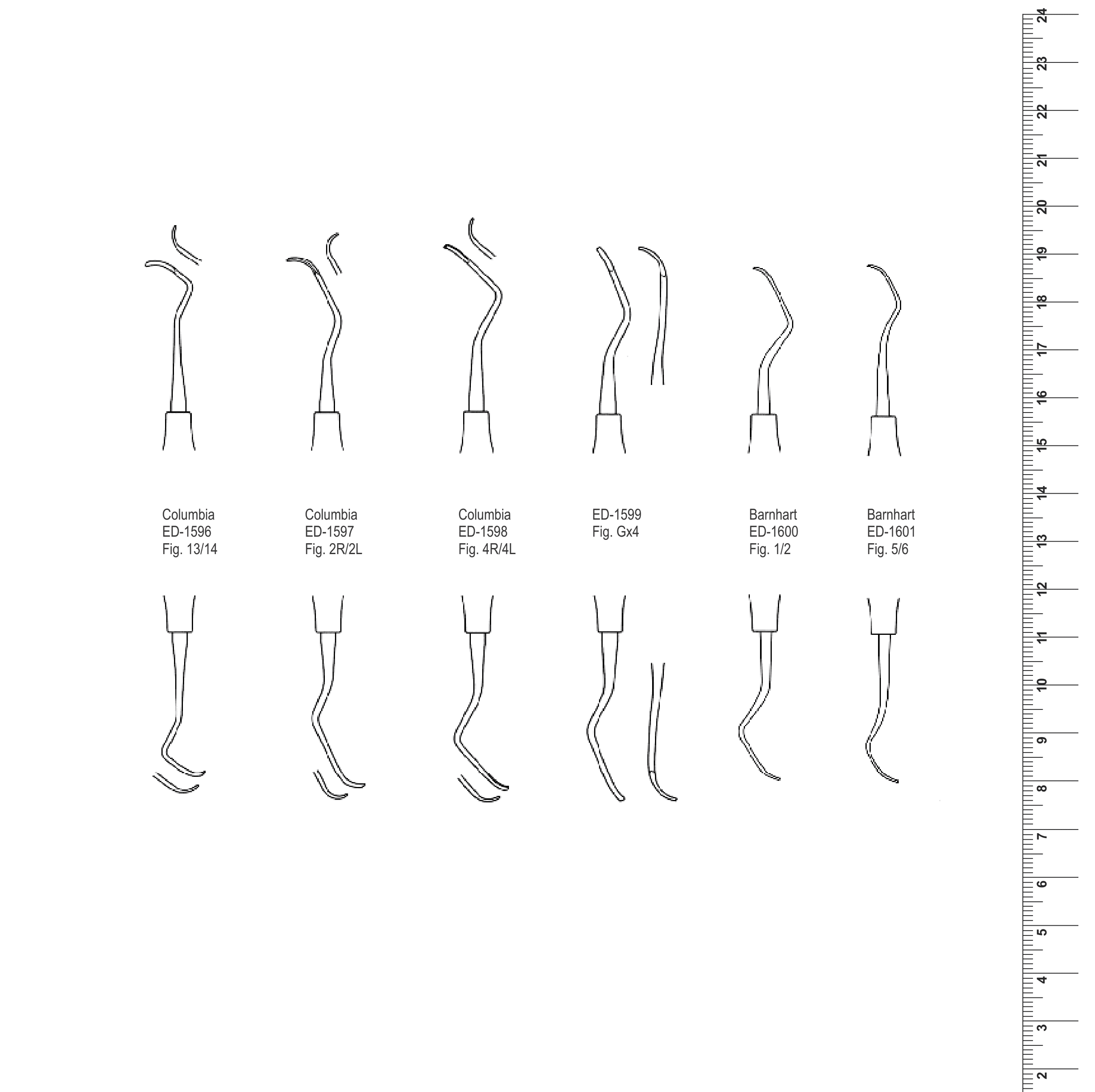 Dental Scalers (Ref. 007)