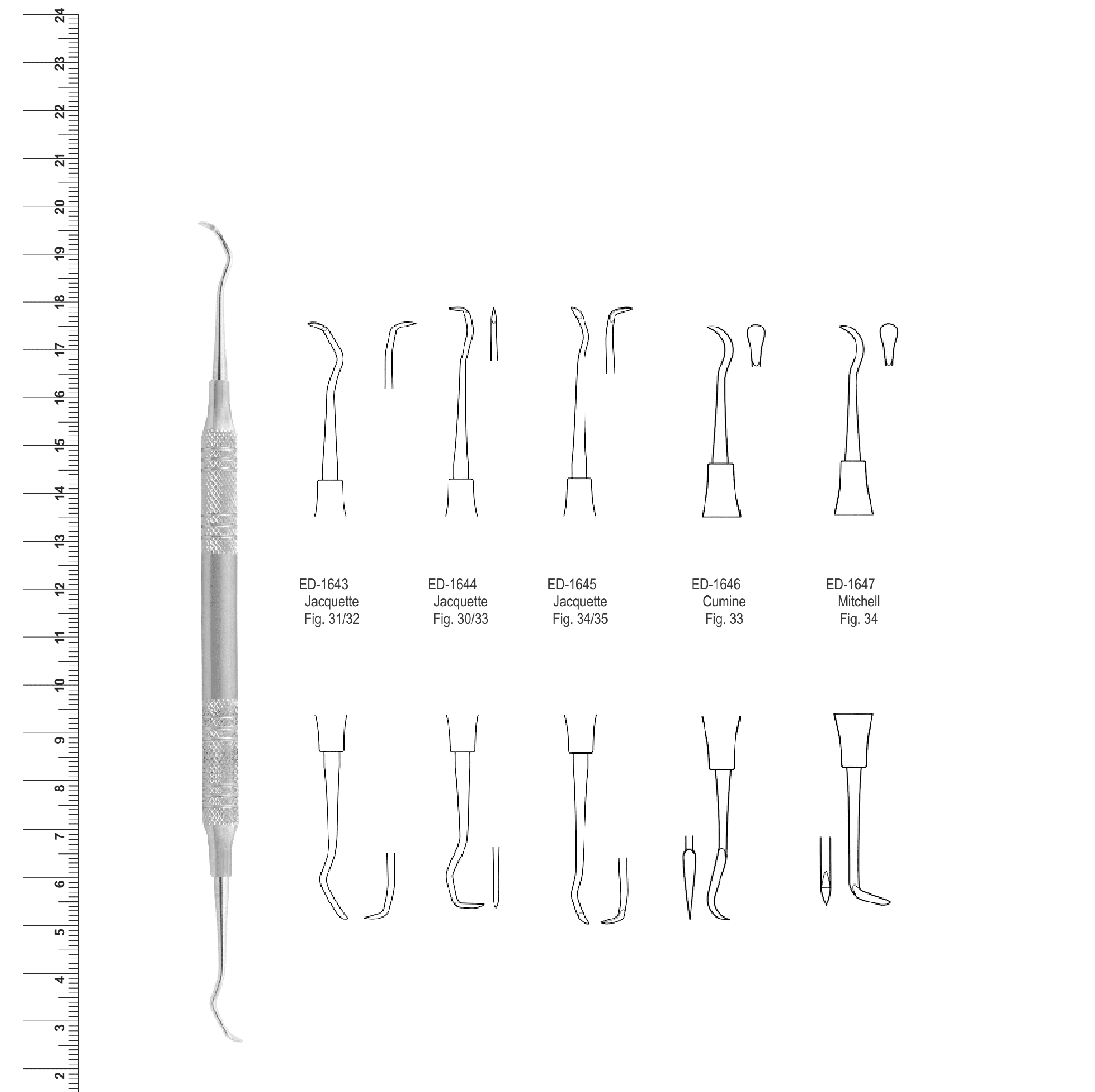 Dental Scalers (Ref. 010)