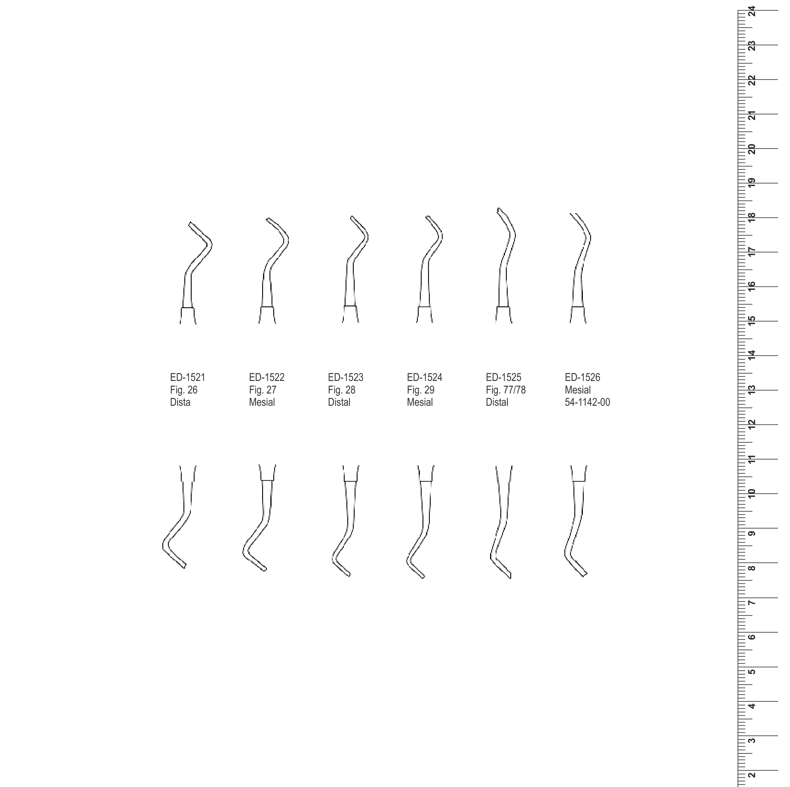 Enamel Instruments (Ref. 004)