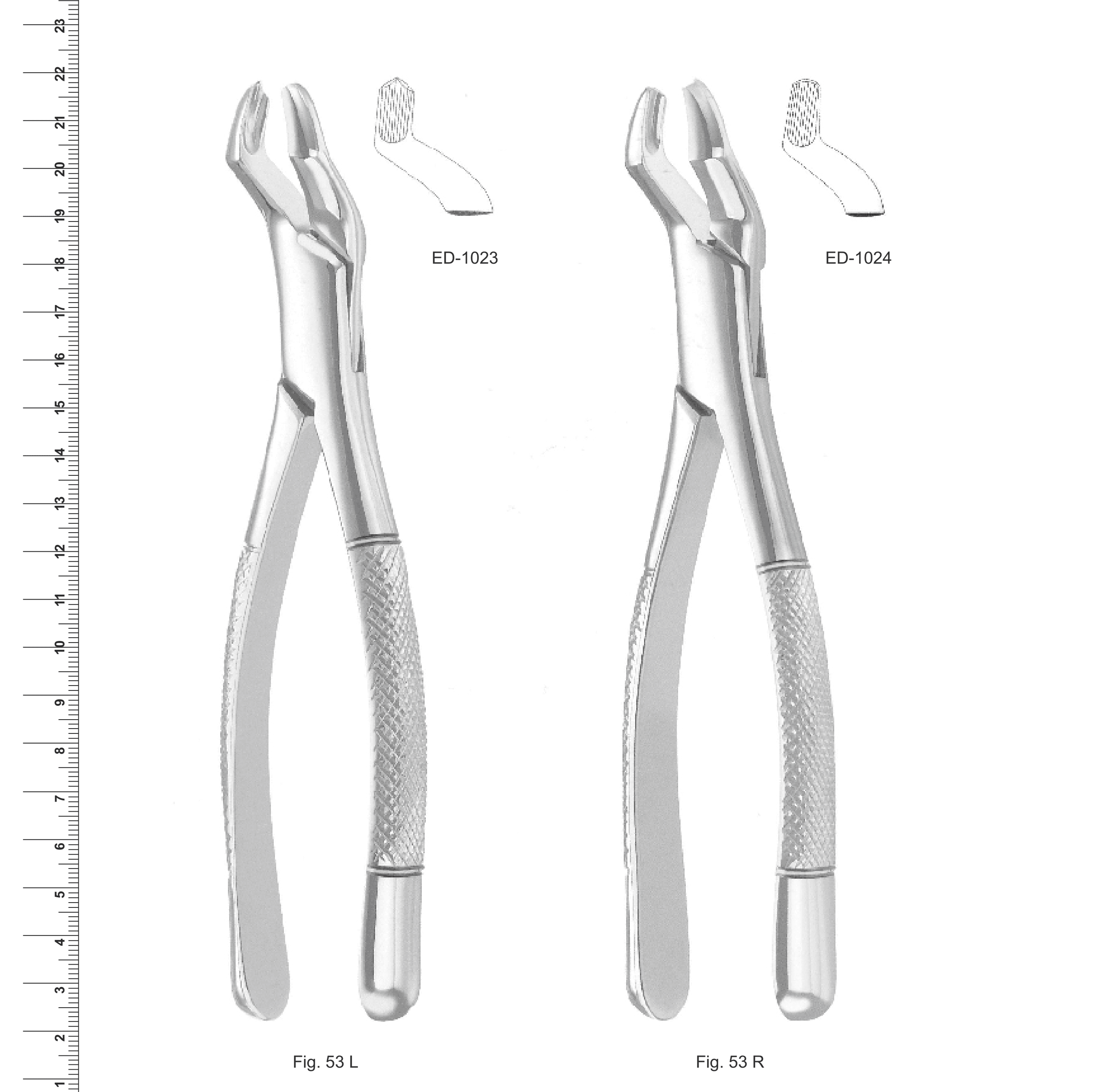 American Pattern Extracting Forceps (Ref. 003)