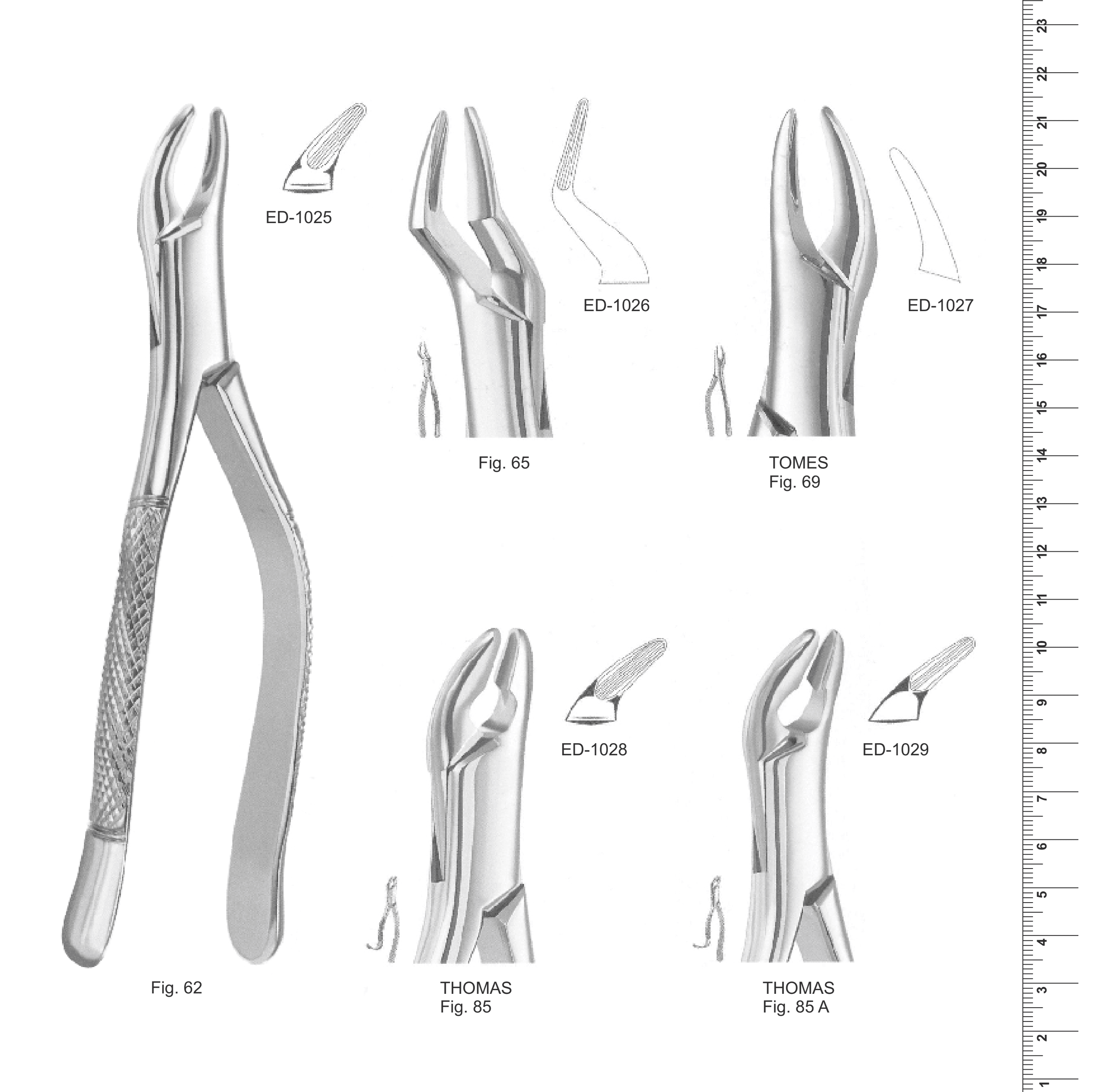 American Pattern Extracting Forceps (Ref. 004)