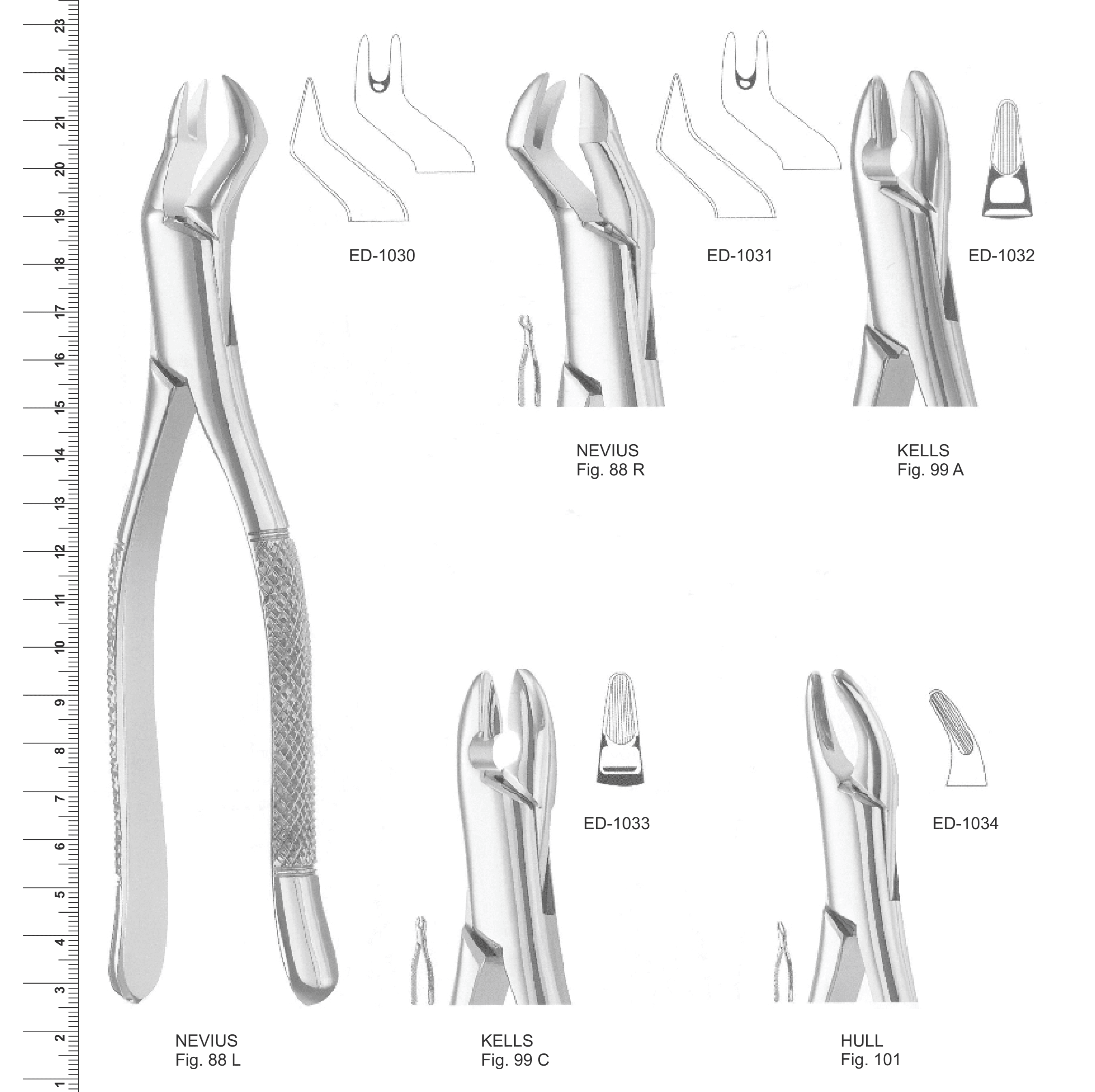 American Pattern Extracting Forceps (Ref. 005)