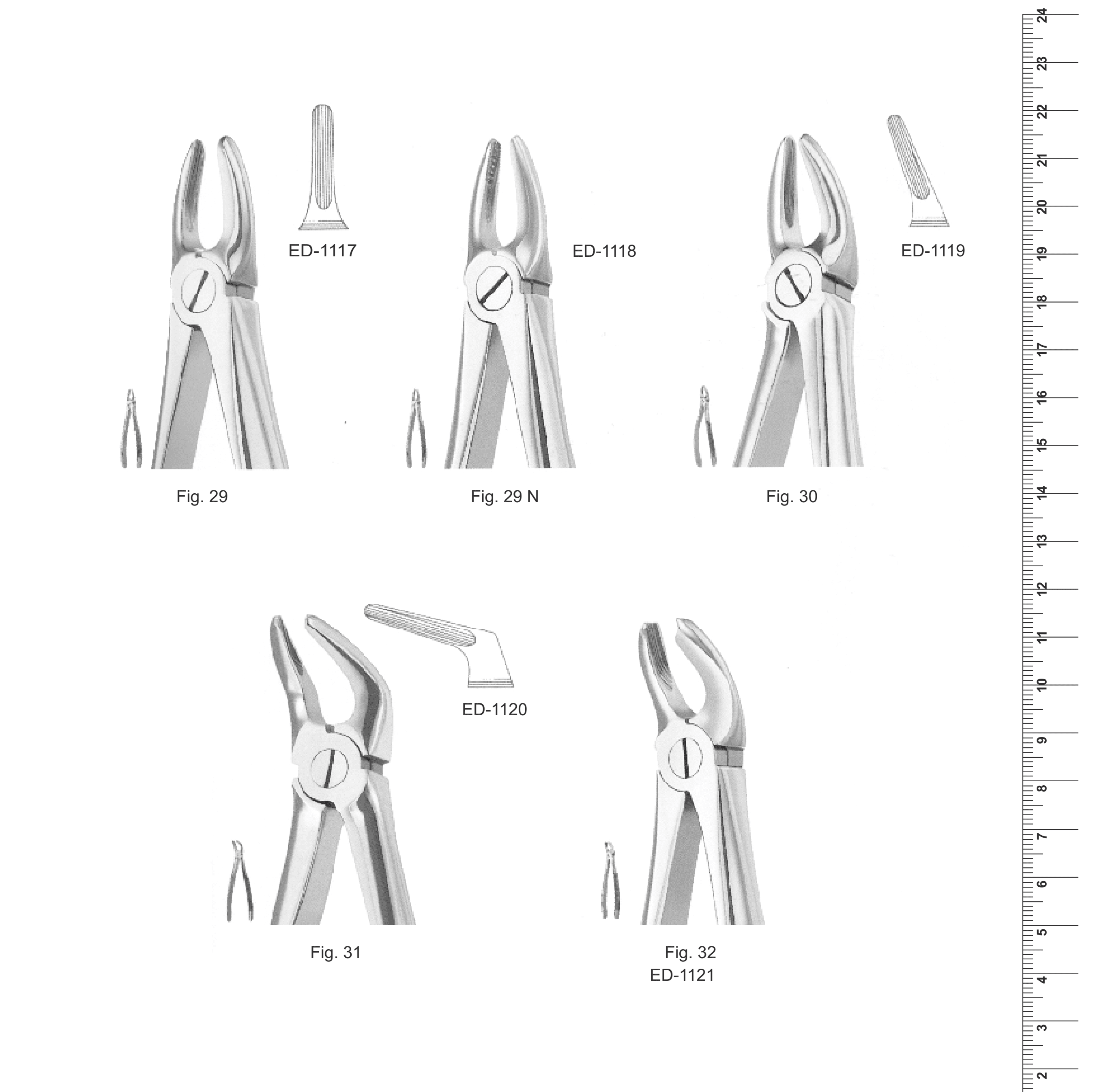 English Pattern Extracting Forceps (Ref. 002)