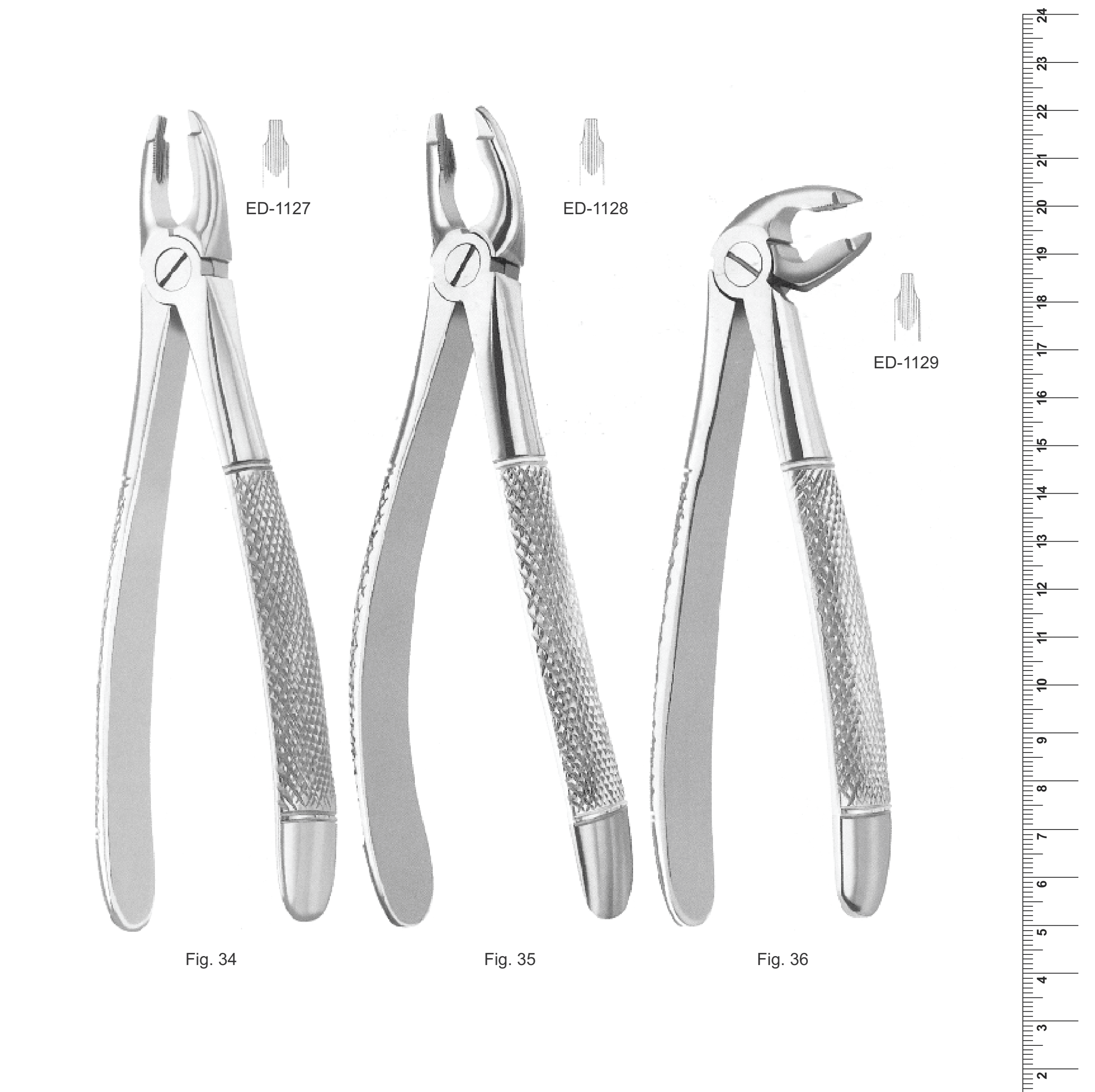 English Pattern Extracting Forceps (Ref. 004)