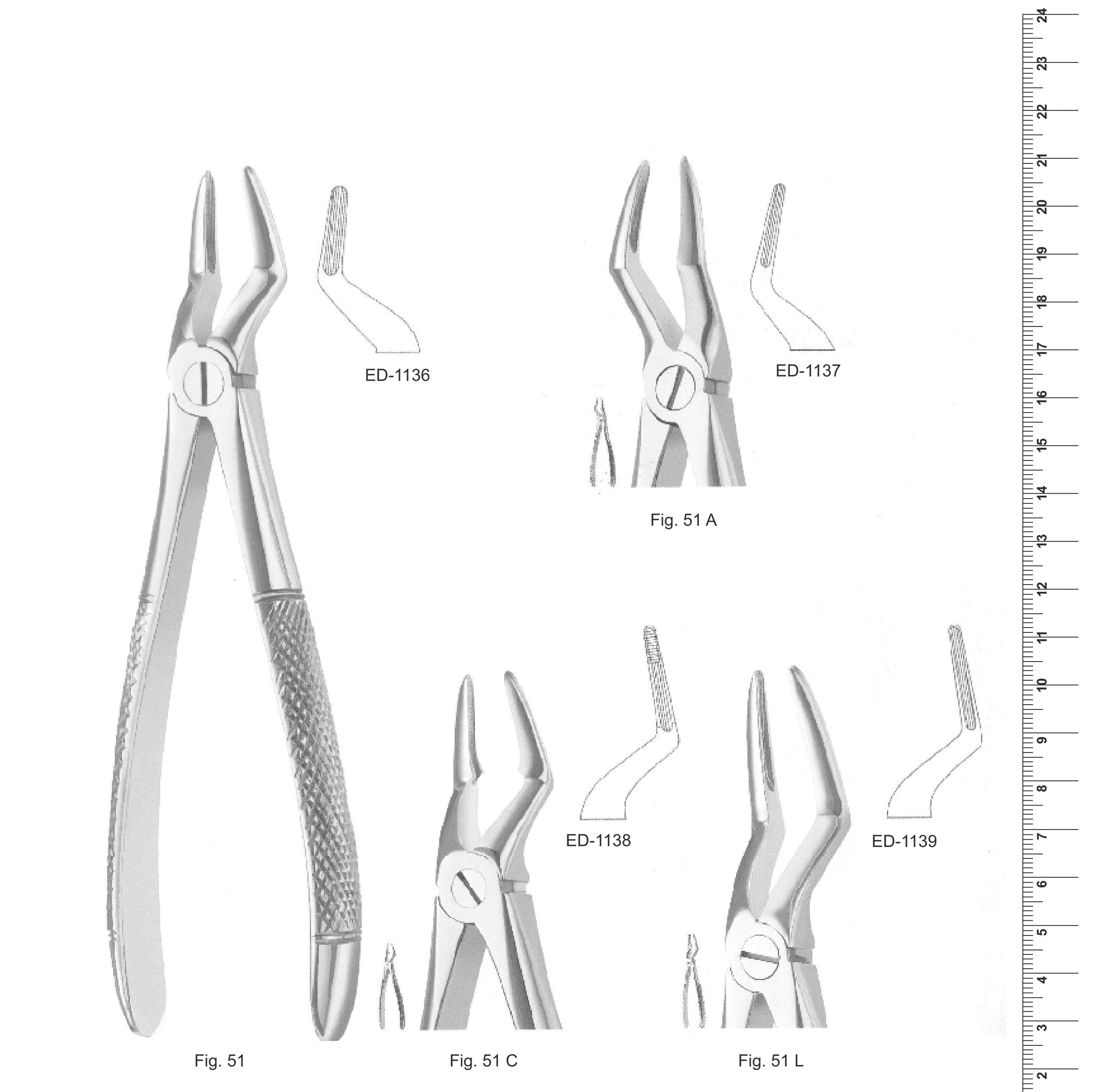 English Pattern Extracting Forceps (Ref. 006)