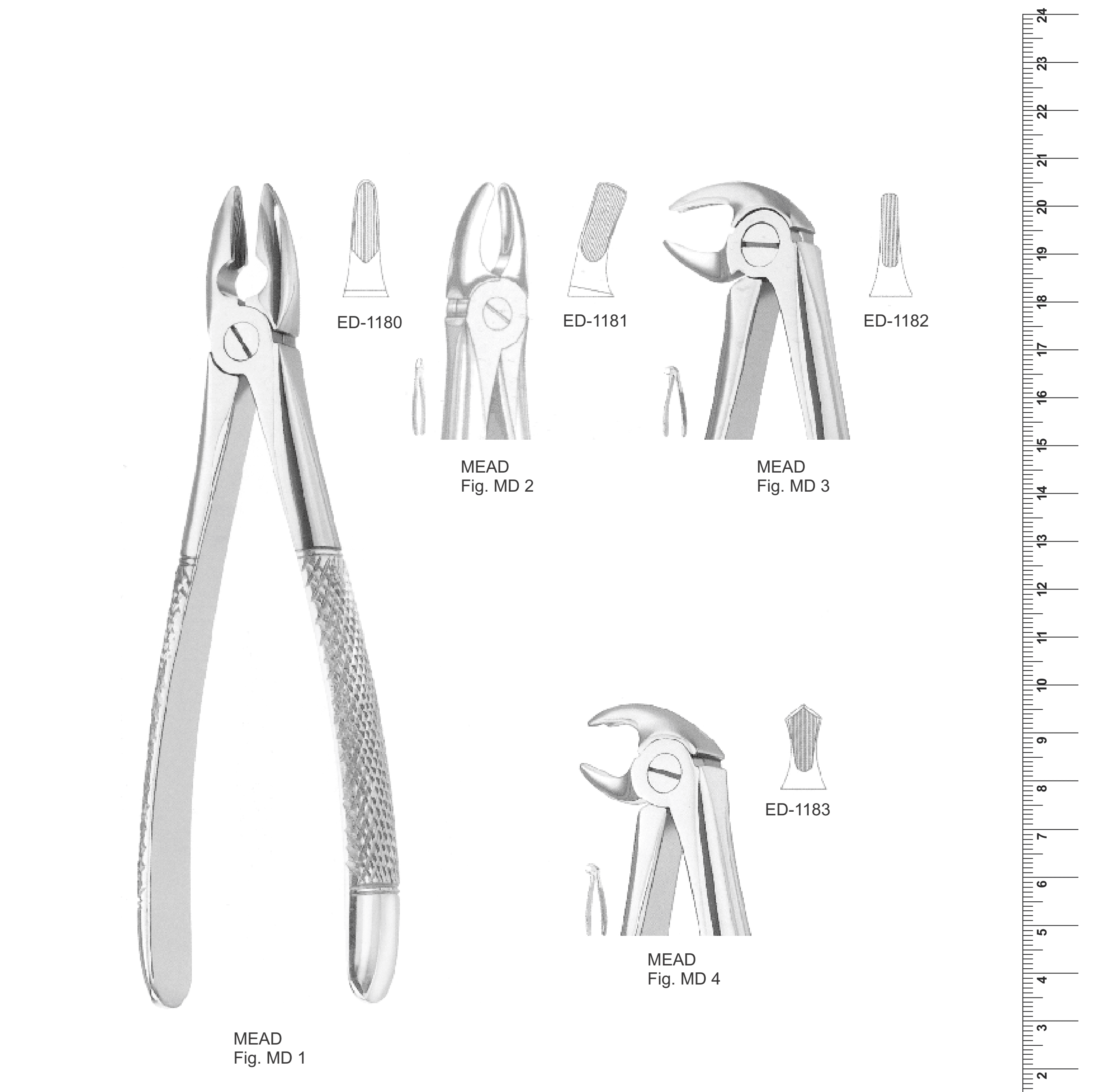 English Pattern Extracting Forceps (Ref. 008)
