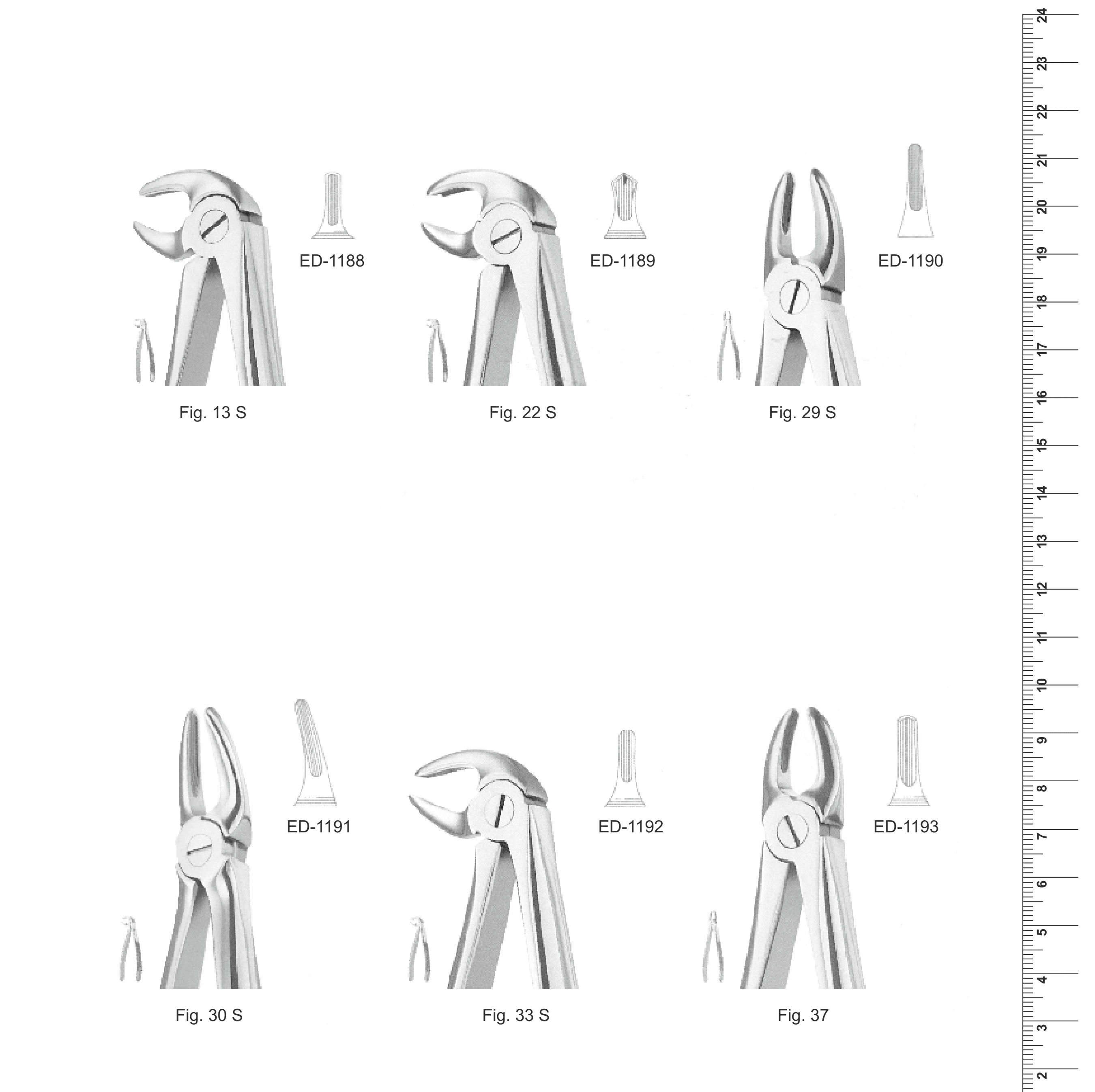 English Pattern Extracting Forceps (Ref. 010)