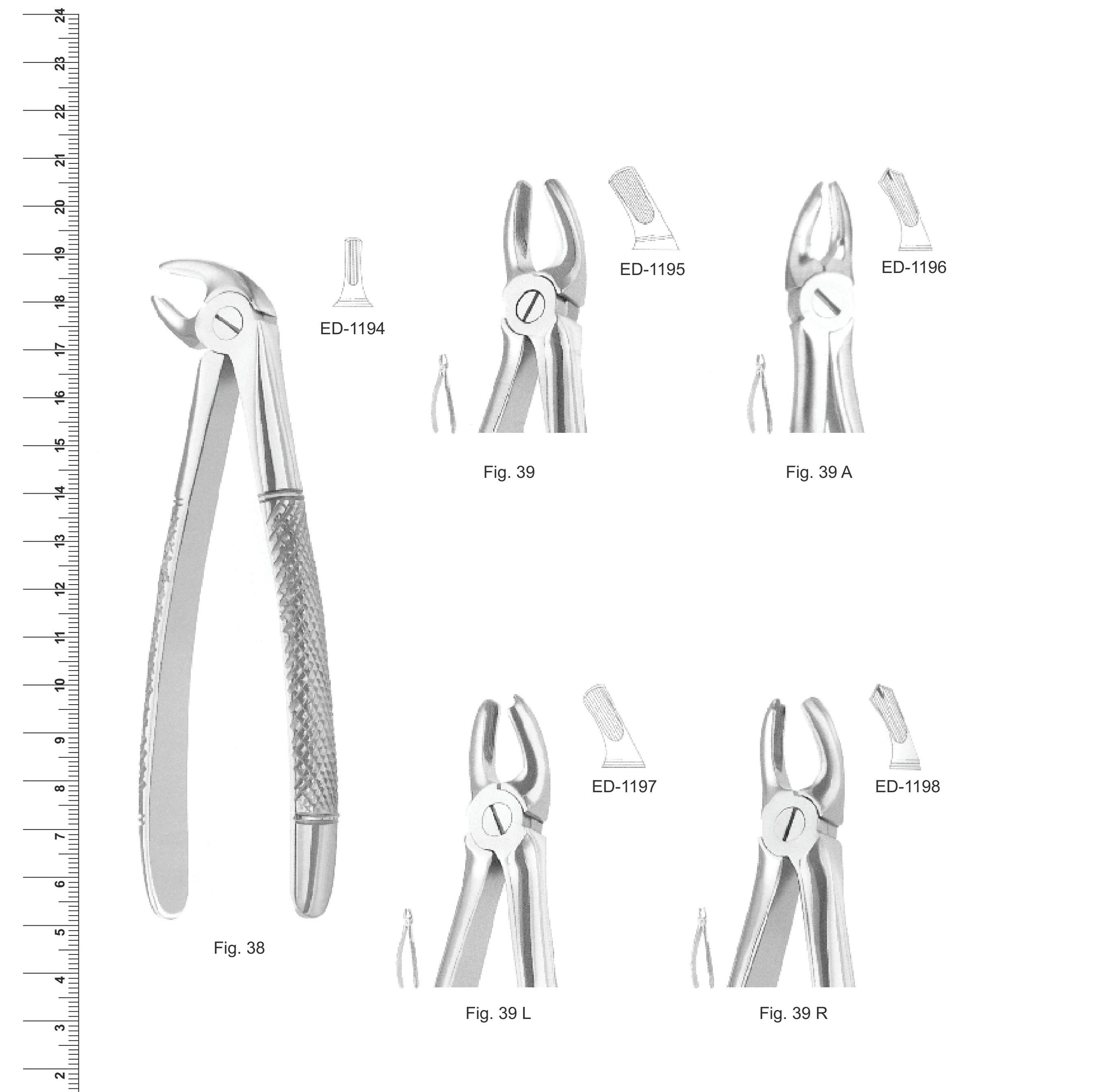 English Pattern Extracting Forceps (Ref. 011)