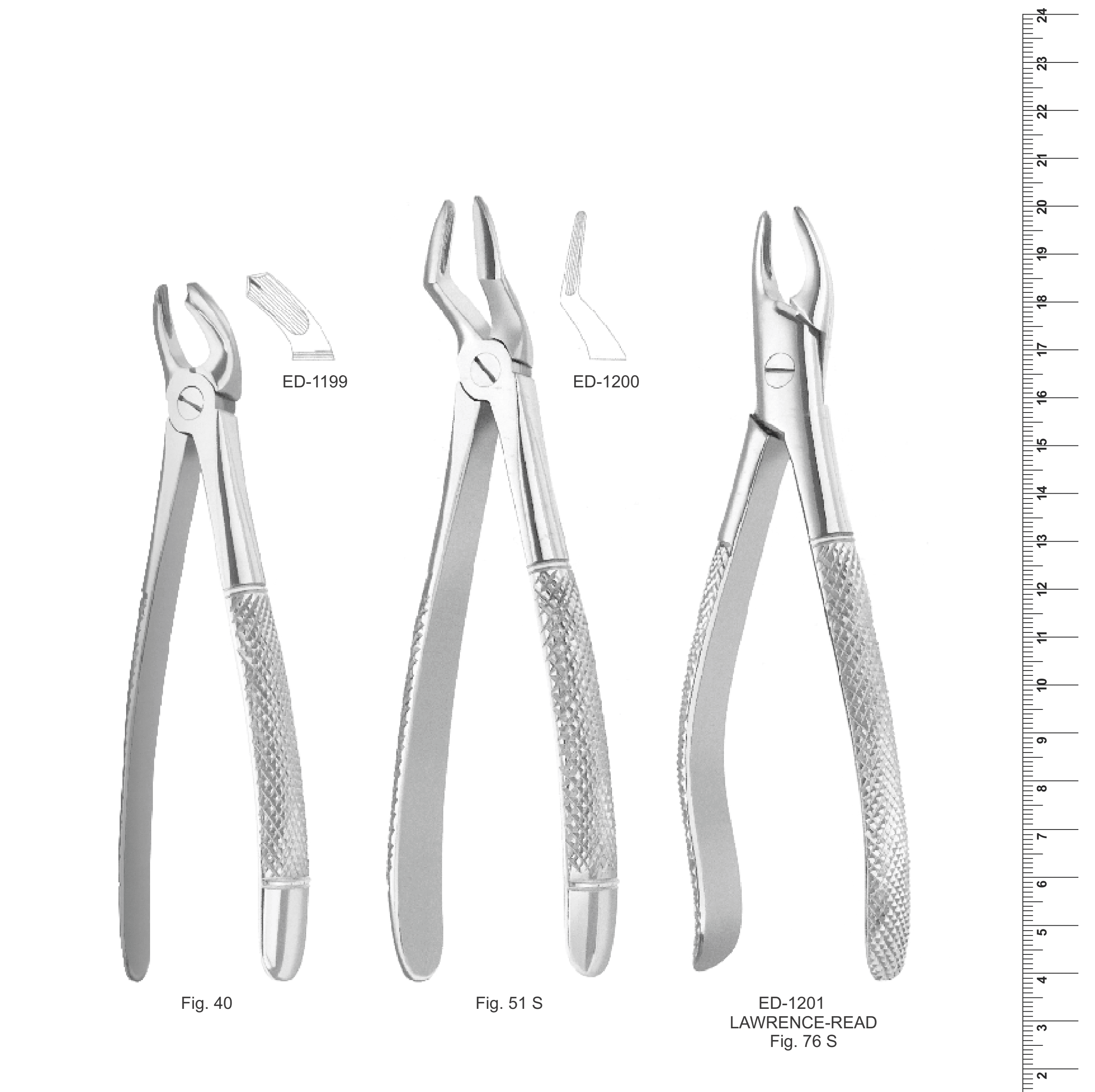 English Pattern Extracting Forceps (Ref. 012)