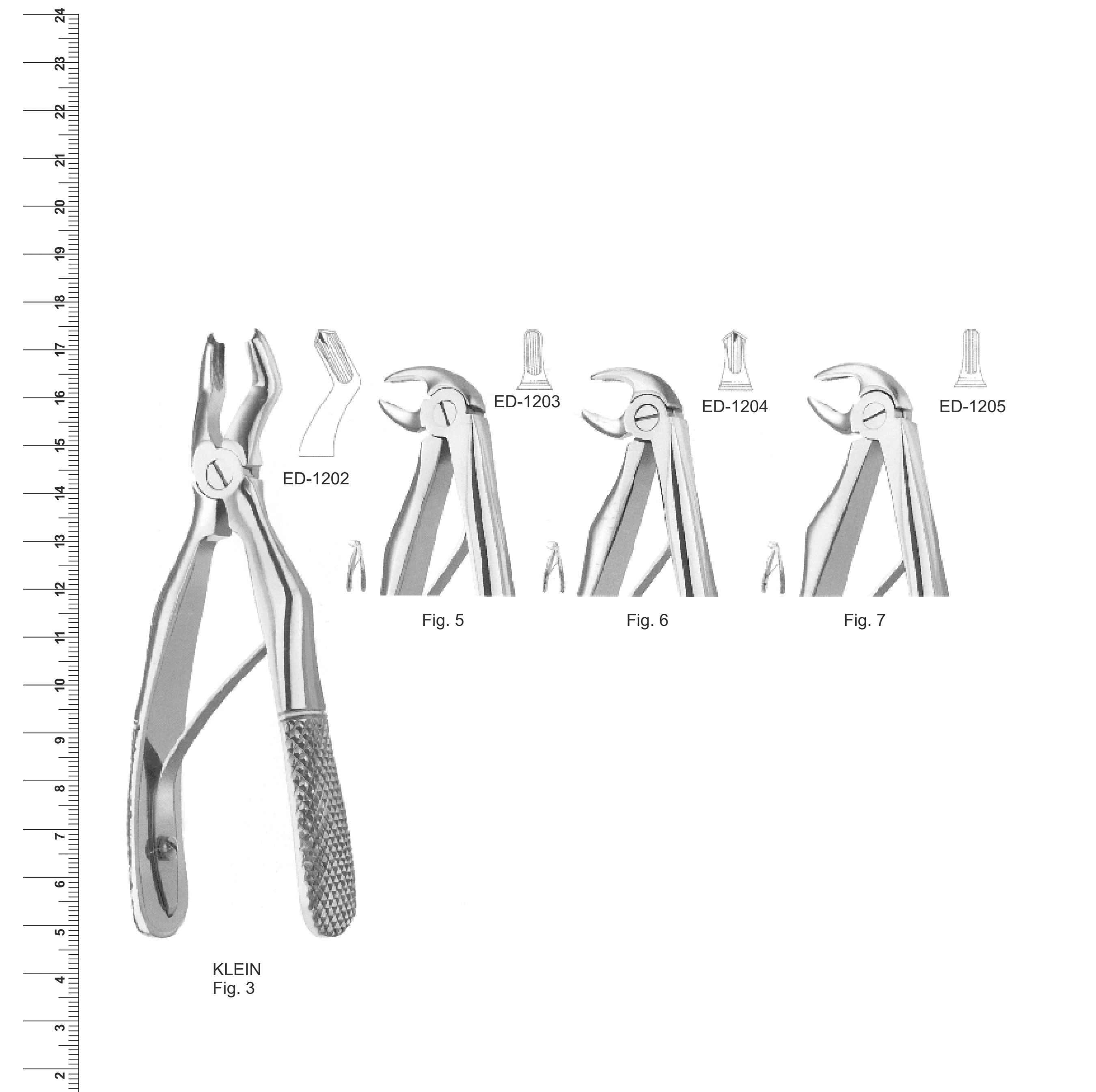 English Pattern Extracting Forceps (Ref. 013)