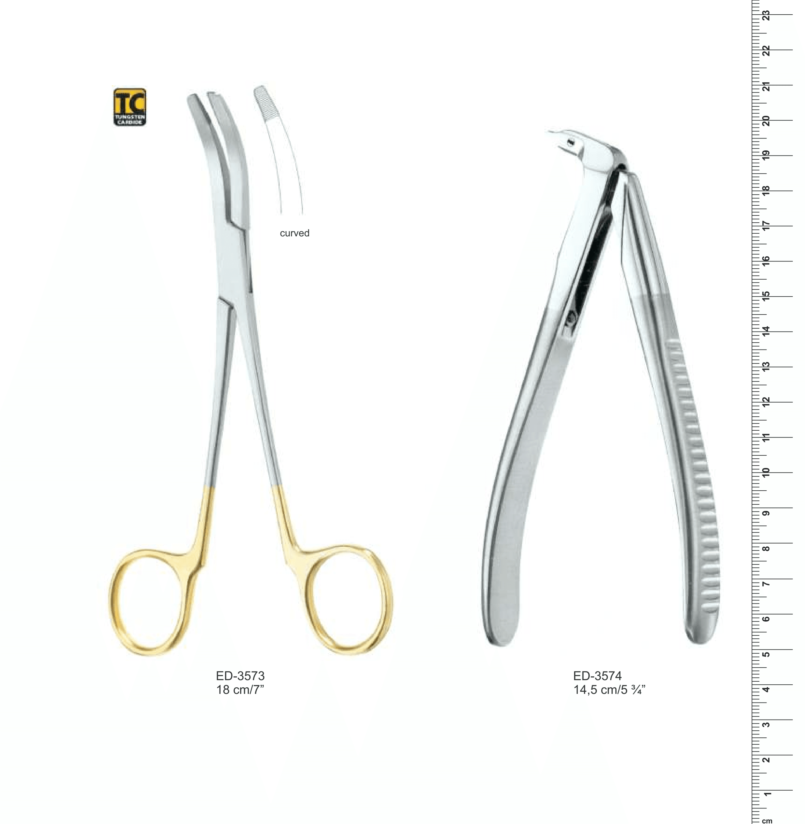 Orthodontics (Ref. 006)
