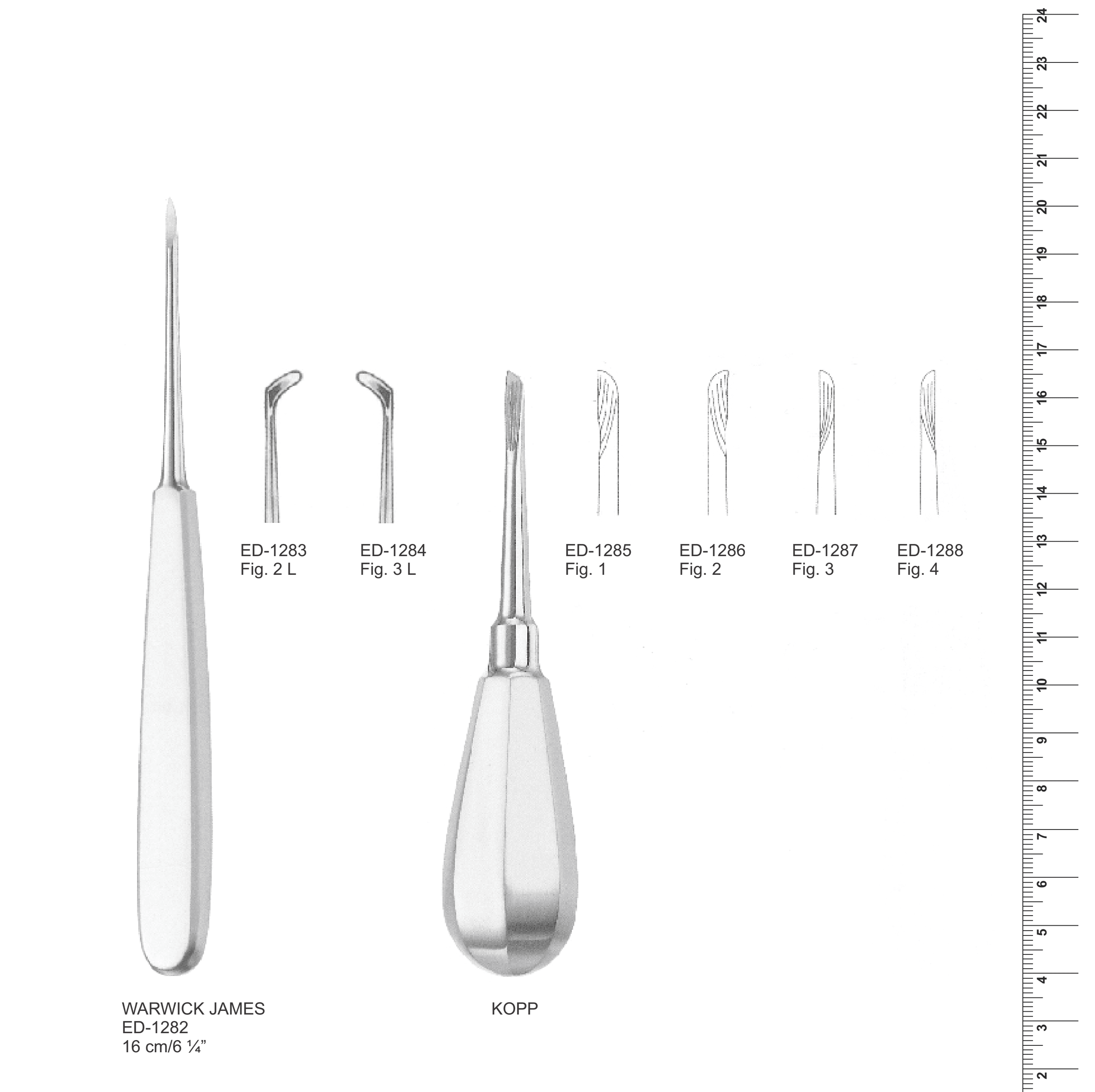Root Elevators (Ref. 004)