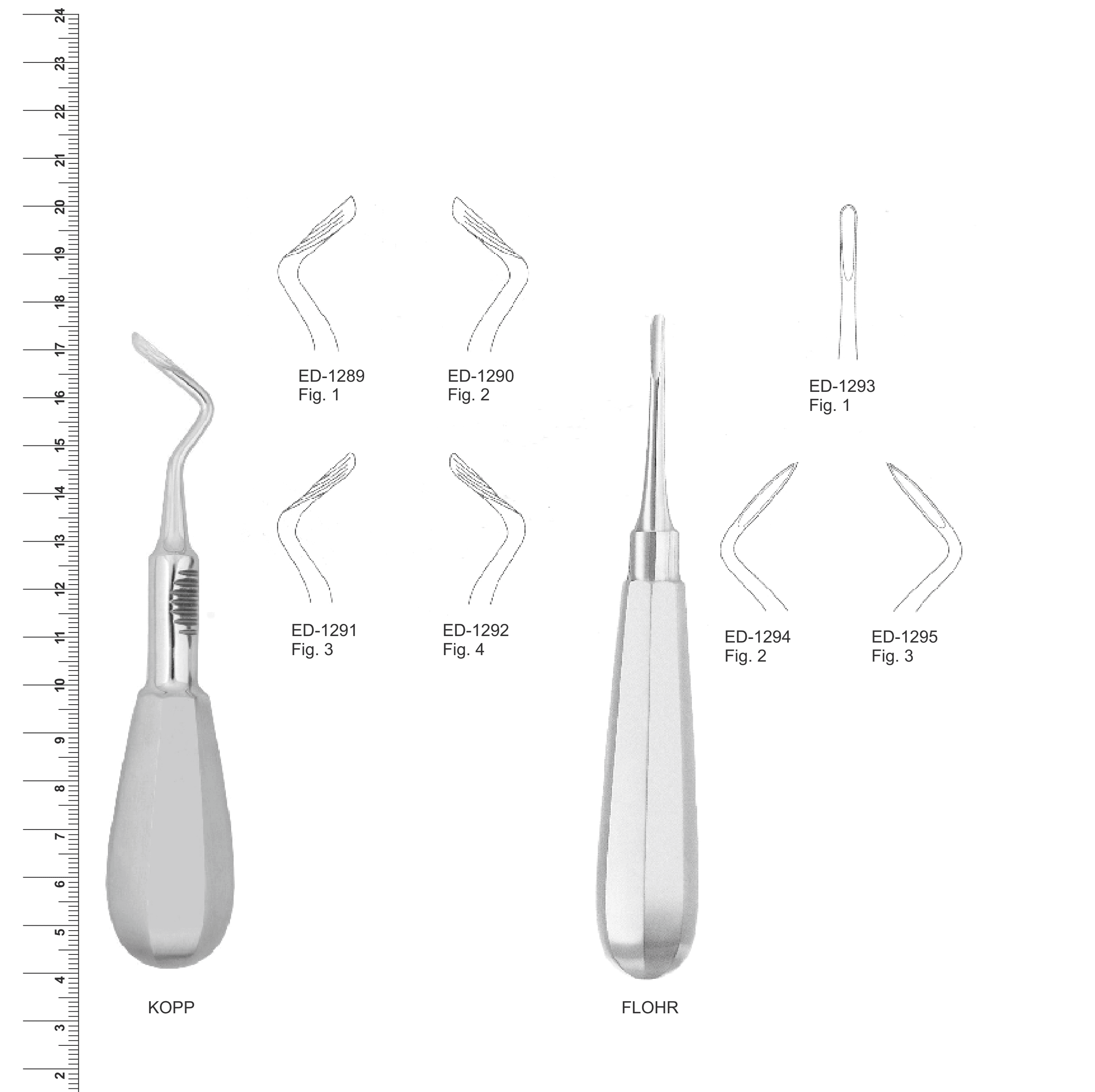 Root Elevators (Ref. 005)