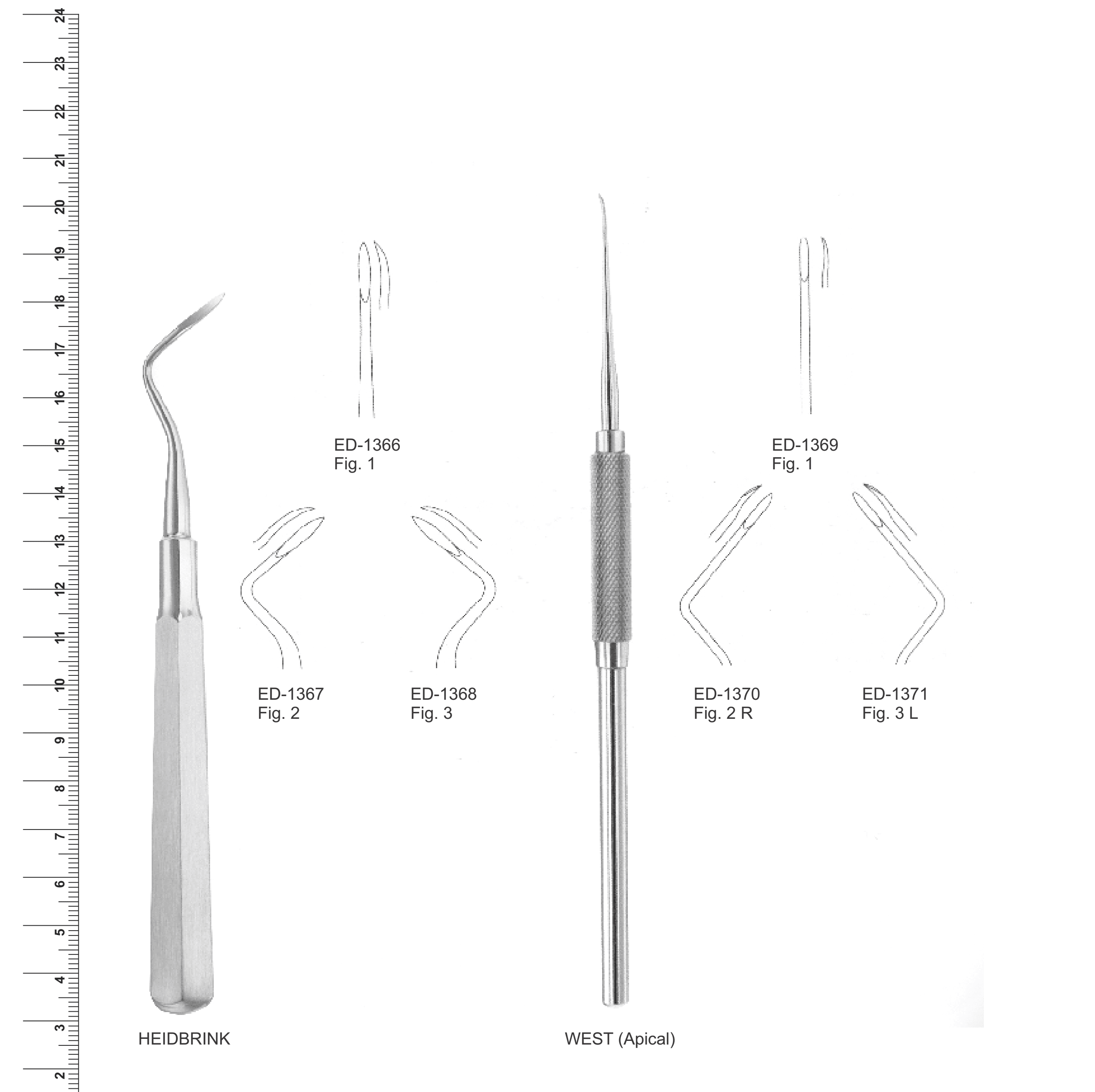Root Elevators (Ref. 008)
