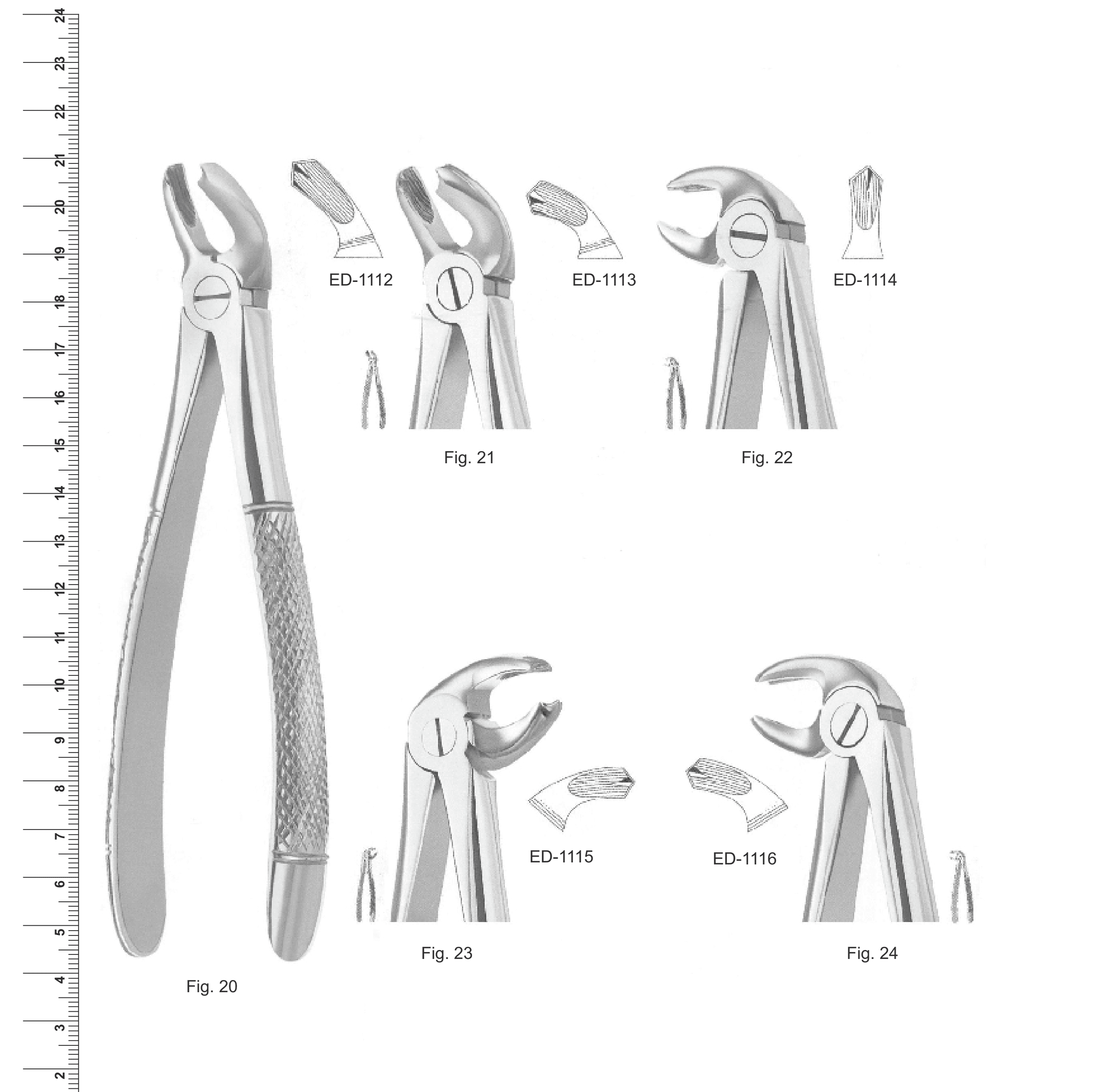 English Pattern Extracting Forceps